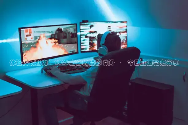 24看球网免费直播